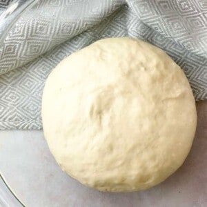 easy and quick 10-minute all-purpose dough recipe that can be used to make such a wide variety of different bread recipes