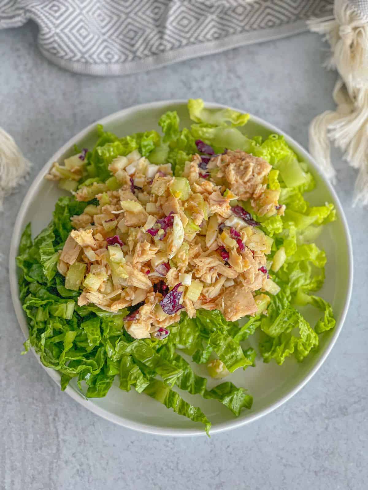 TasteGreatFoodie - Tastiest Tuna Egg Salad Recipe - Salads