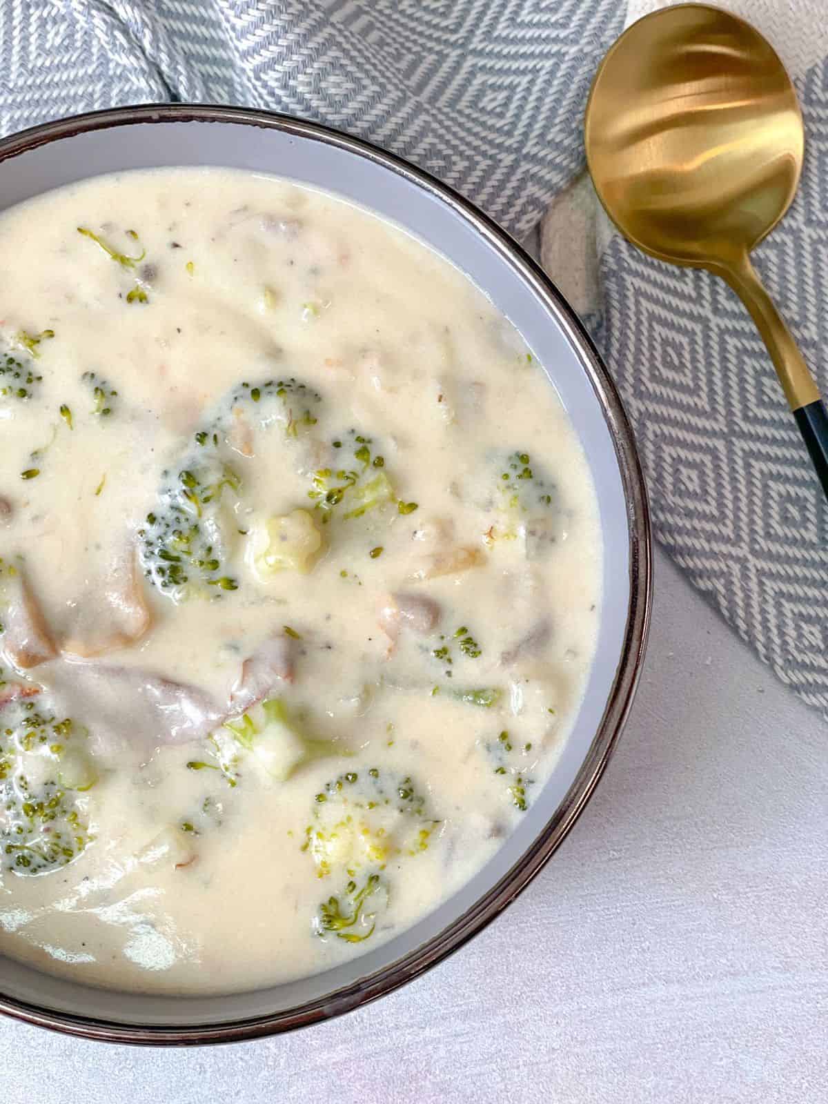 TasteGreatFoodie Creamy Broccoli & Mushroom Soup Appetizers