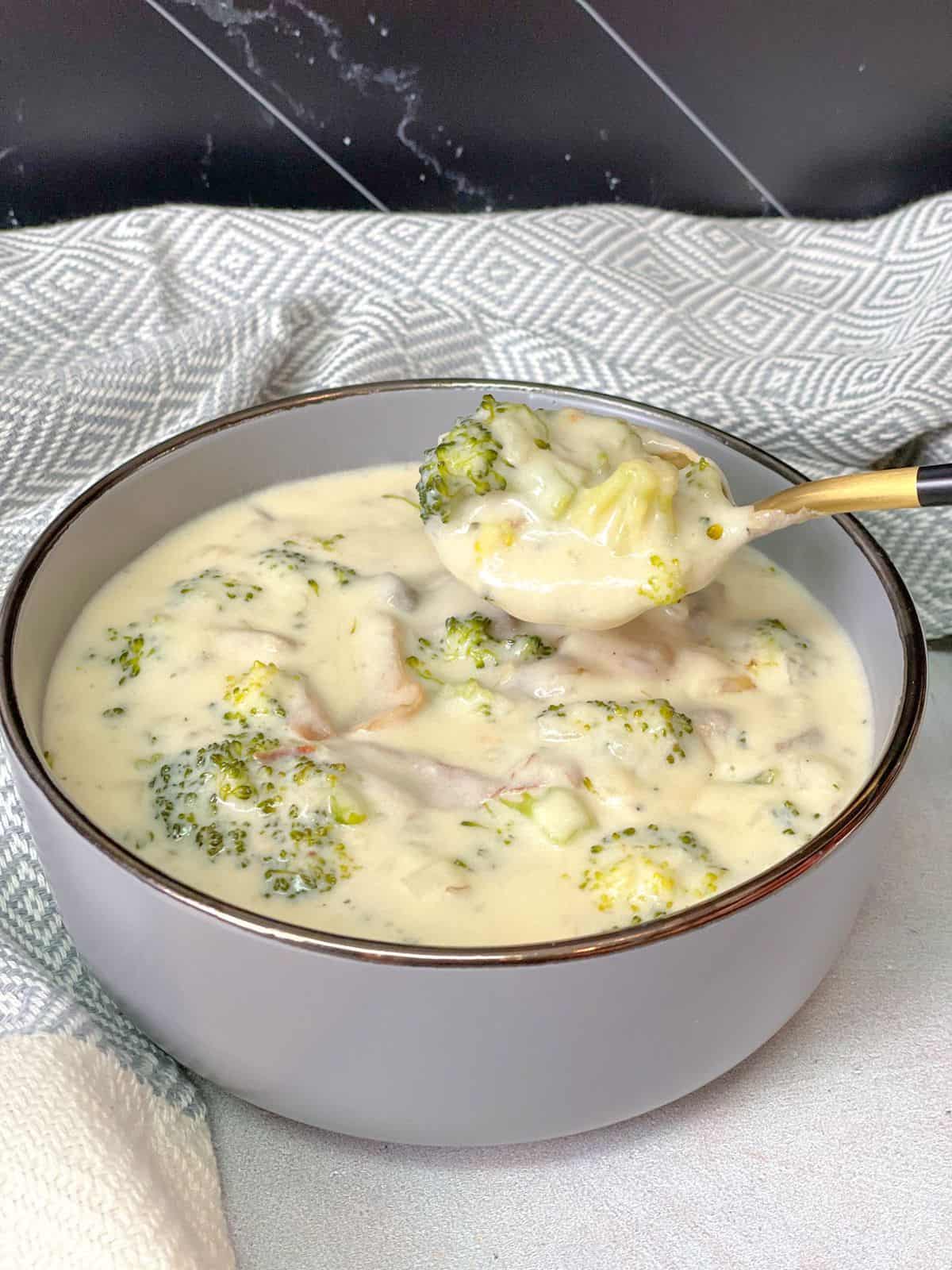 TasteGreatFoodie Creamy Broccoli & Mushroom Soup Appetizers