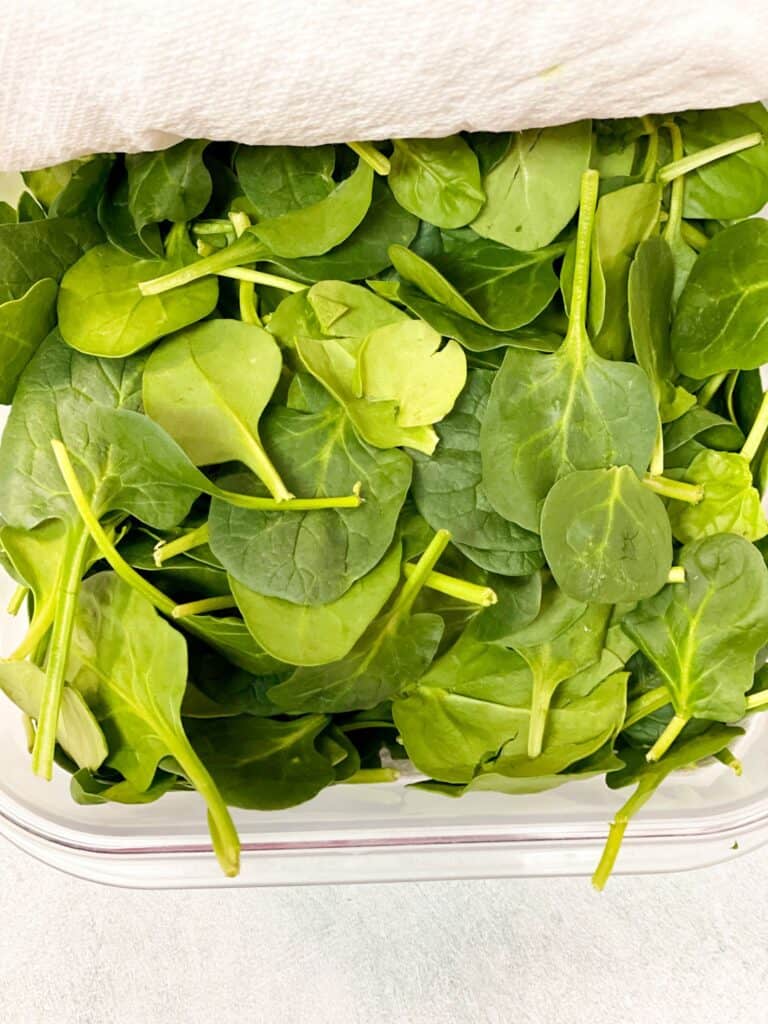 spinach leaves in a container