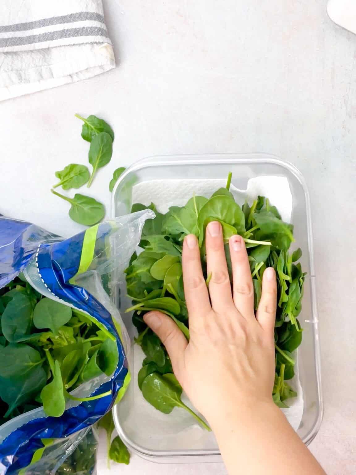 TasteGreatFoodie How To Store Spinach For One Month