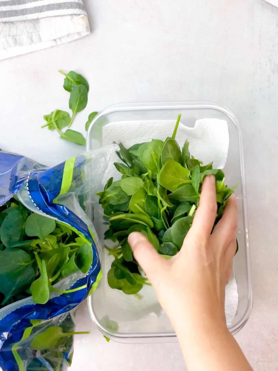 TasteGreatFoodie How To Store Spinach For One Month