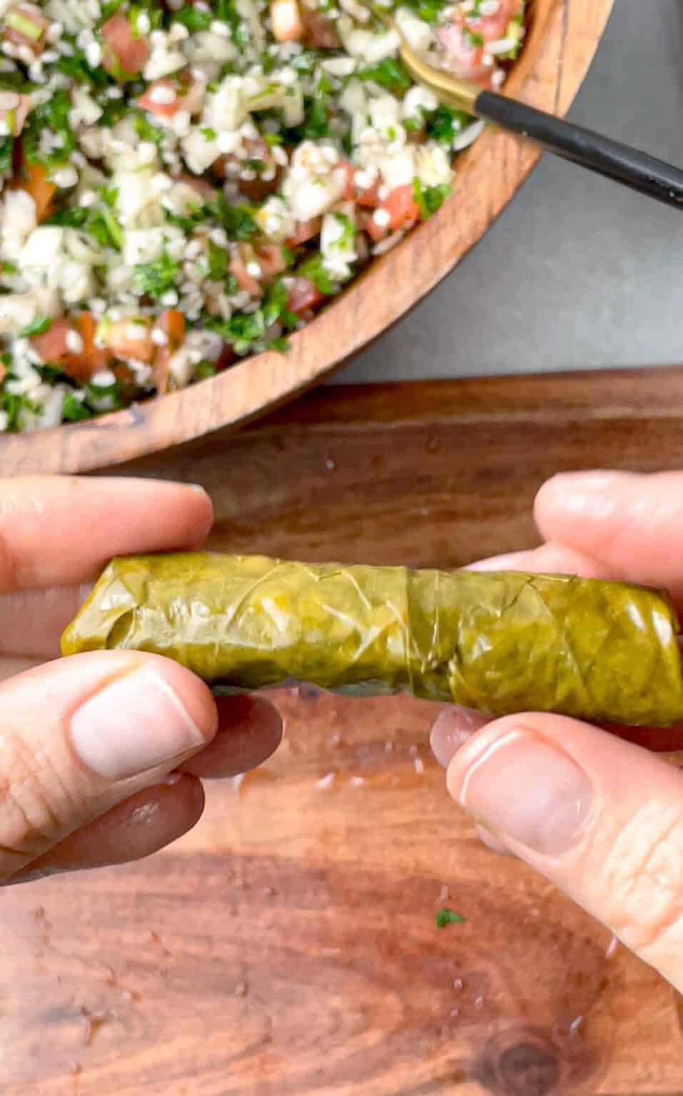 Vegetarian Grape Leaves (Instant Pot) TasteGreatFoodie