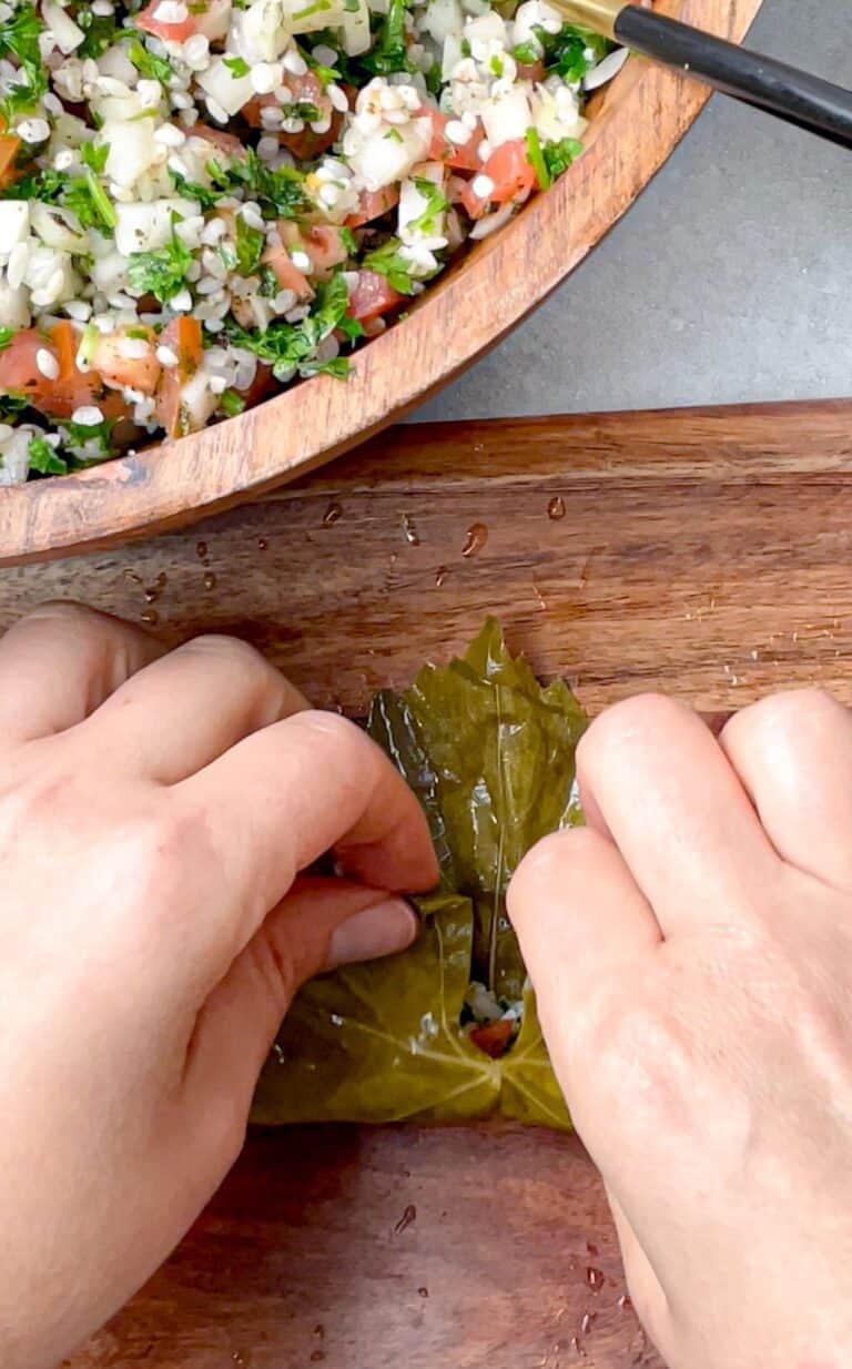 Vegetarian Grape Leaves (Instant Pot) TasteGreatFoodie