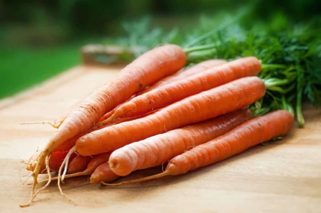 Don't waste your veggies' potentials with improper storing! Here's how to store carrots and enjoy a fresh bite for months ahead!