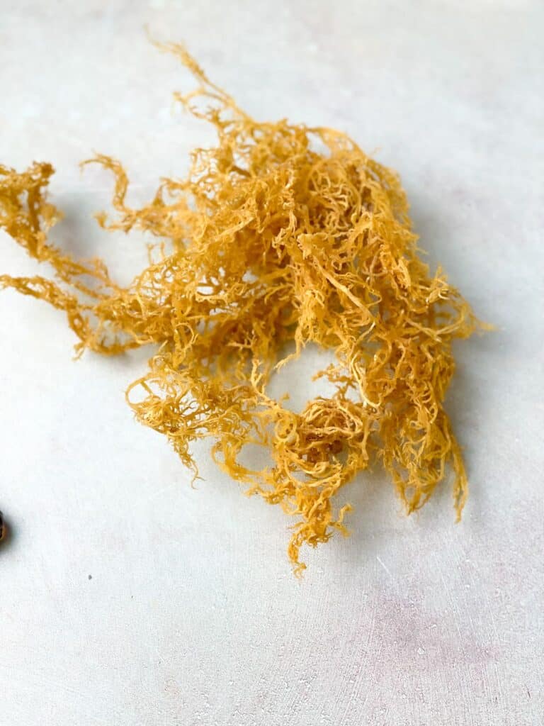 sea moss weed that has a yellow golden color