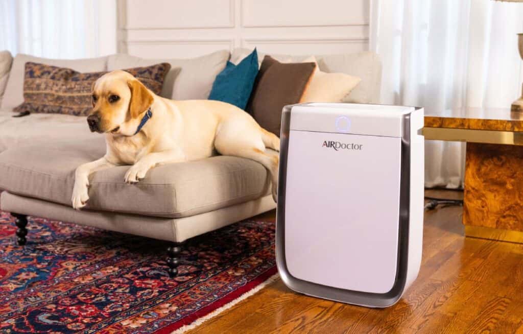An AirDoctor purifier placed in a living room, next to a couch with a dog on it. 