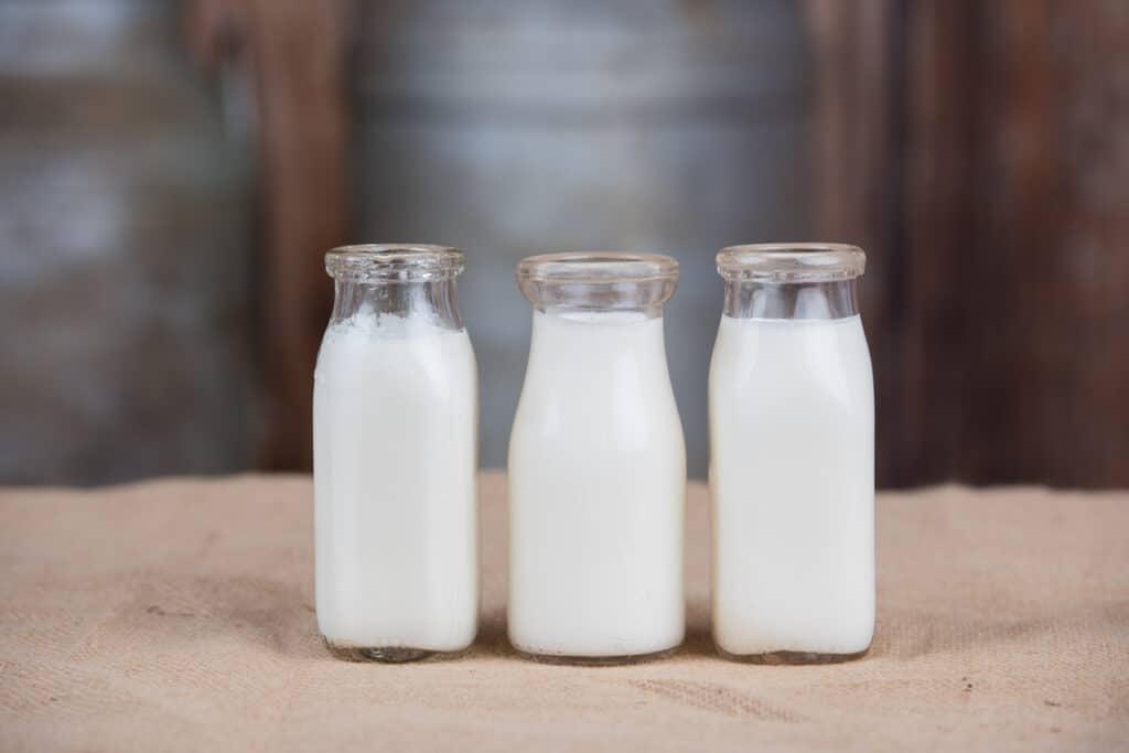 Three vintage bottles of milk
