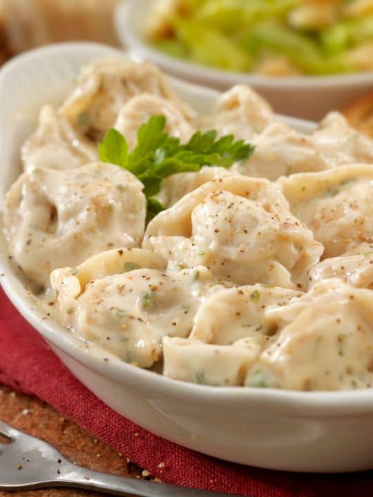 a dish of pasta served with a perfect and delicious béchamel sauce which adds an incredible touch 