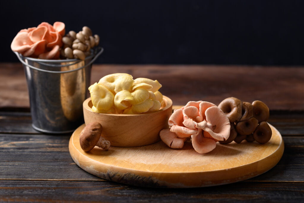 Mixed fresh mushroom (Edible mushroom) on a wooden board and prepare for cooking.