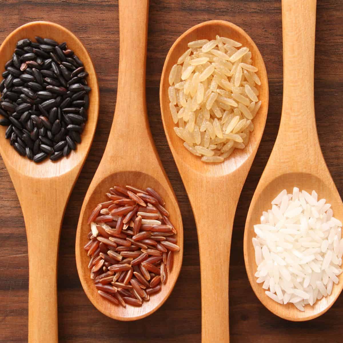 TasteGreatFoodie Different Rice Types and Their Uses