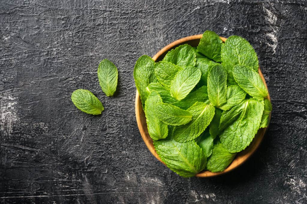 A variety of methods can be used for storing fresh mint. Regardless of the method you use, it's best to chop your mint leaves and rinse them with cold water before preserving them.