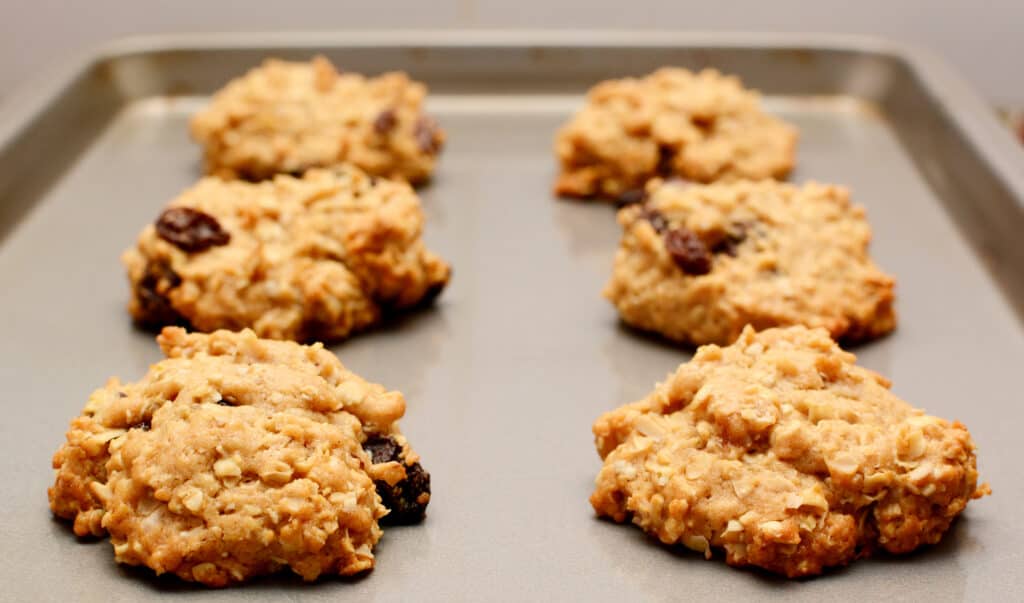 Freshly baked oatmeal raisin cookies cooling on a baking sheet