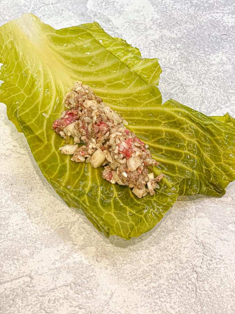 a single leaf with stuffing added to it