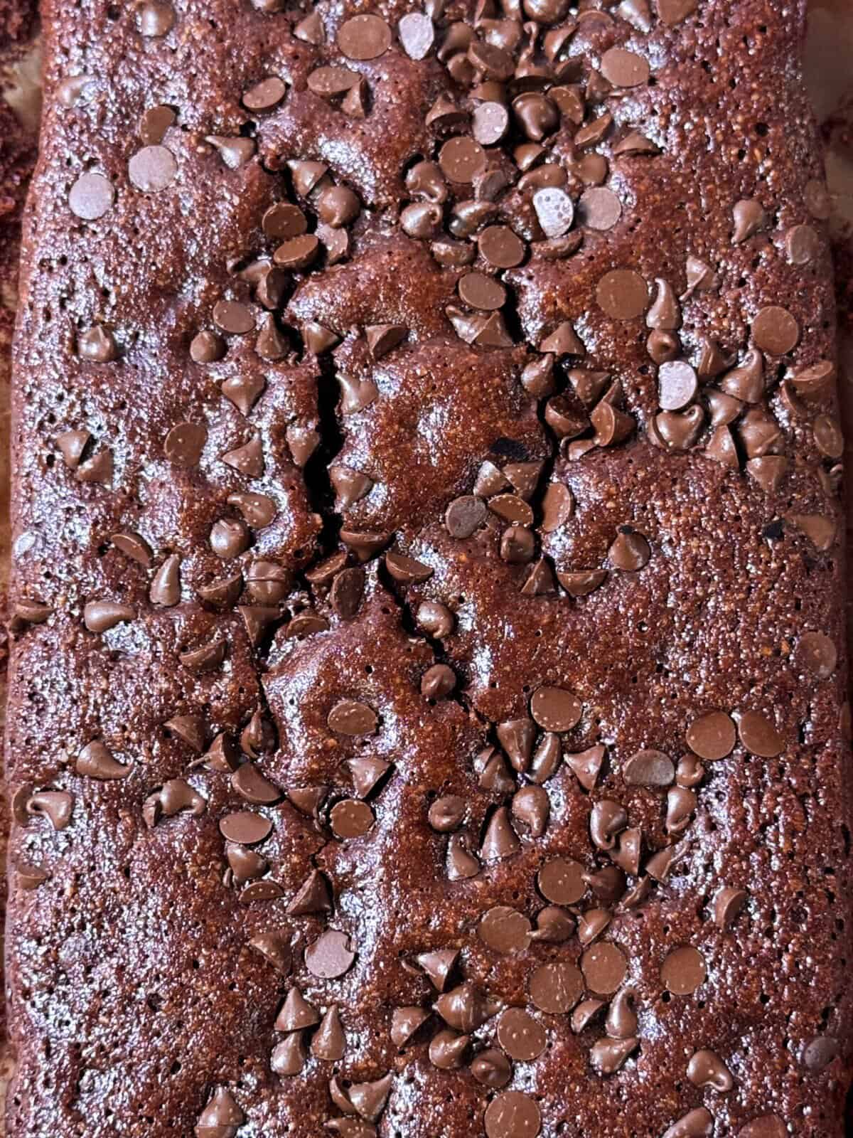 A close-up of a gluten-free brownie with chocolate chips melting on top.