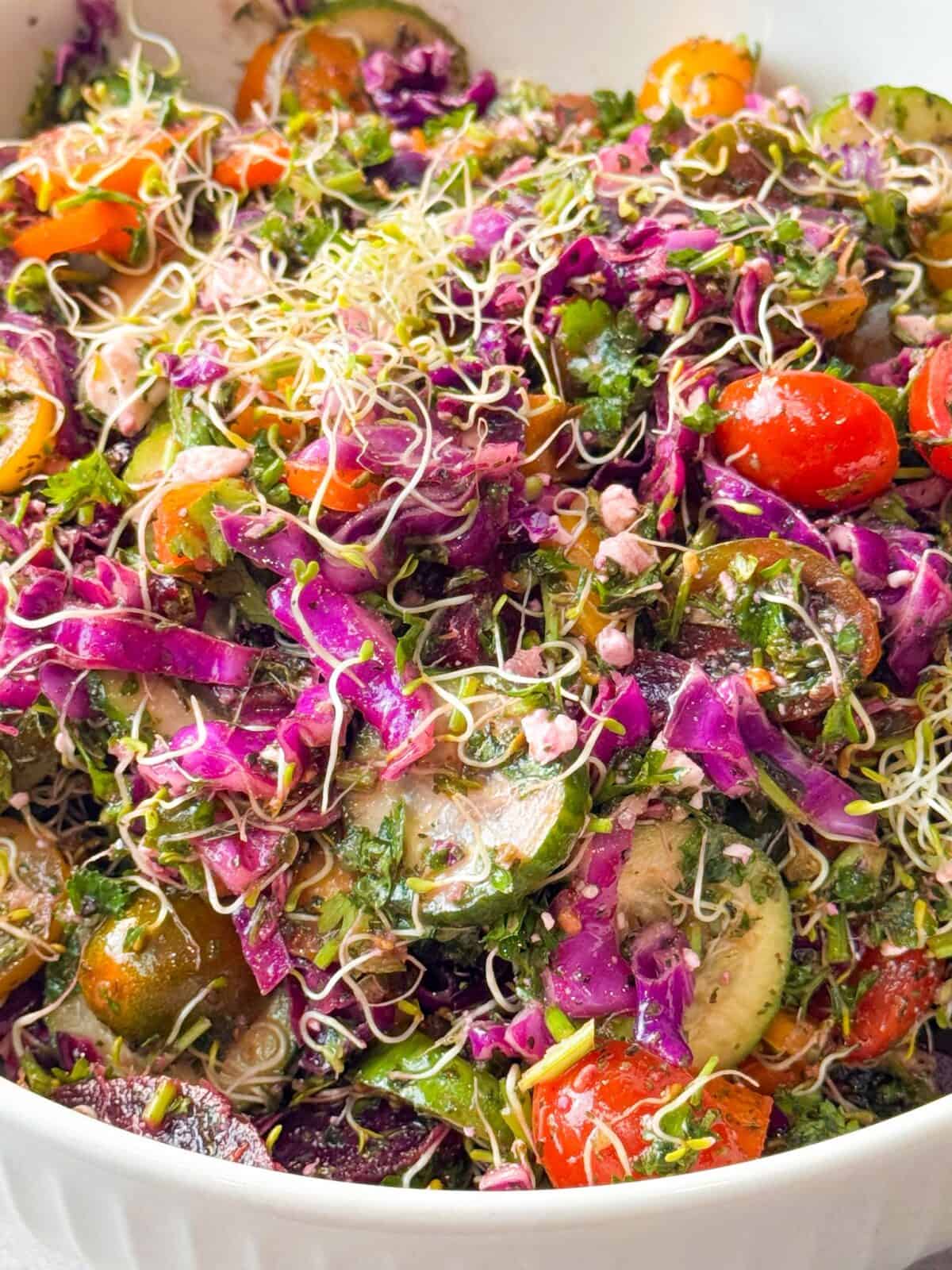 Cucumber Tomato Feta Salad - Mediterranean Style close-up view of Mediterranean cucumber tomato feta salad with vibrant ingredients like cherry tomatoes, cucumbers, red cabbage, parsley, and alfalfa sprouts tossed in vinaigrette