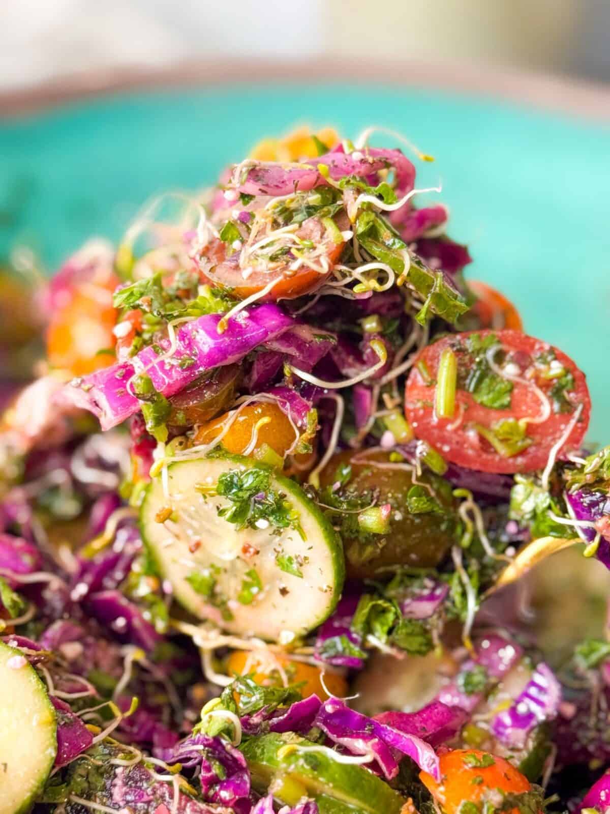 Cucumber Tomato Feta Salad with Fresh Herbs close-up view of Mediterranean cucumber tomato feta salad tossed in vinaigrette dressing