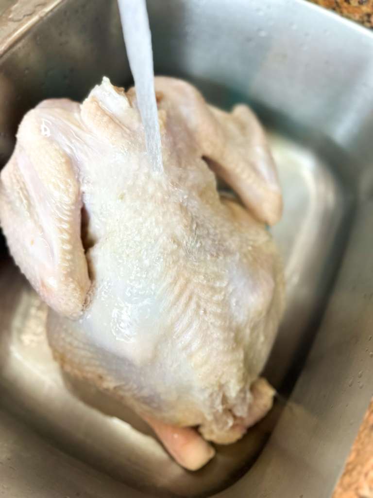 Homemade Thanksgiving Turkey raw whole turkey being rinsed under running water in a kitchen sink
