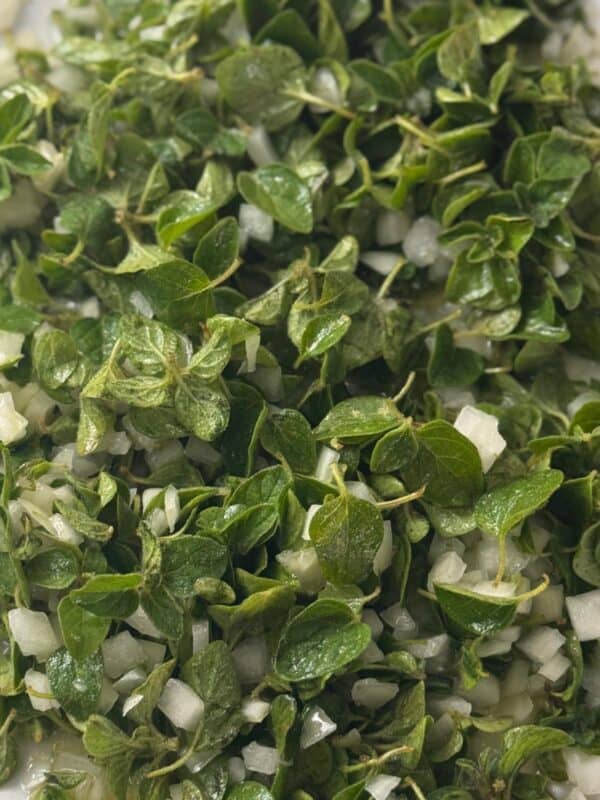 Close-up of a fresh wild za’atar salad drizzled with olive oil and lemon.