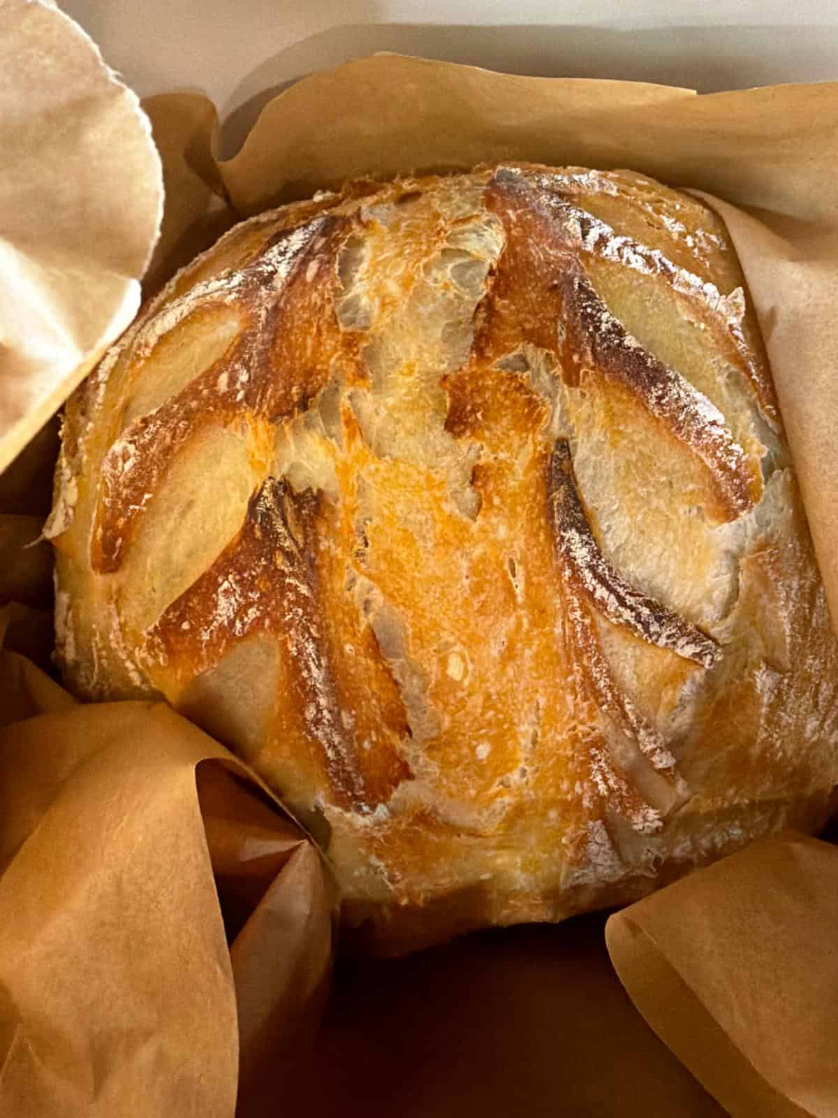 Beginner Sourdough Bread Recipe Freshly baked artisan sourdough bread with a golden crust and decorative scoring, resting in parchment paper inside a Dutch oven
