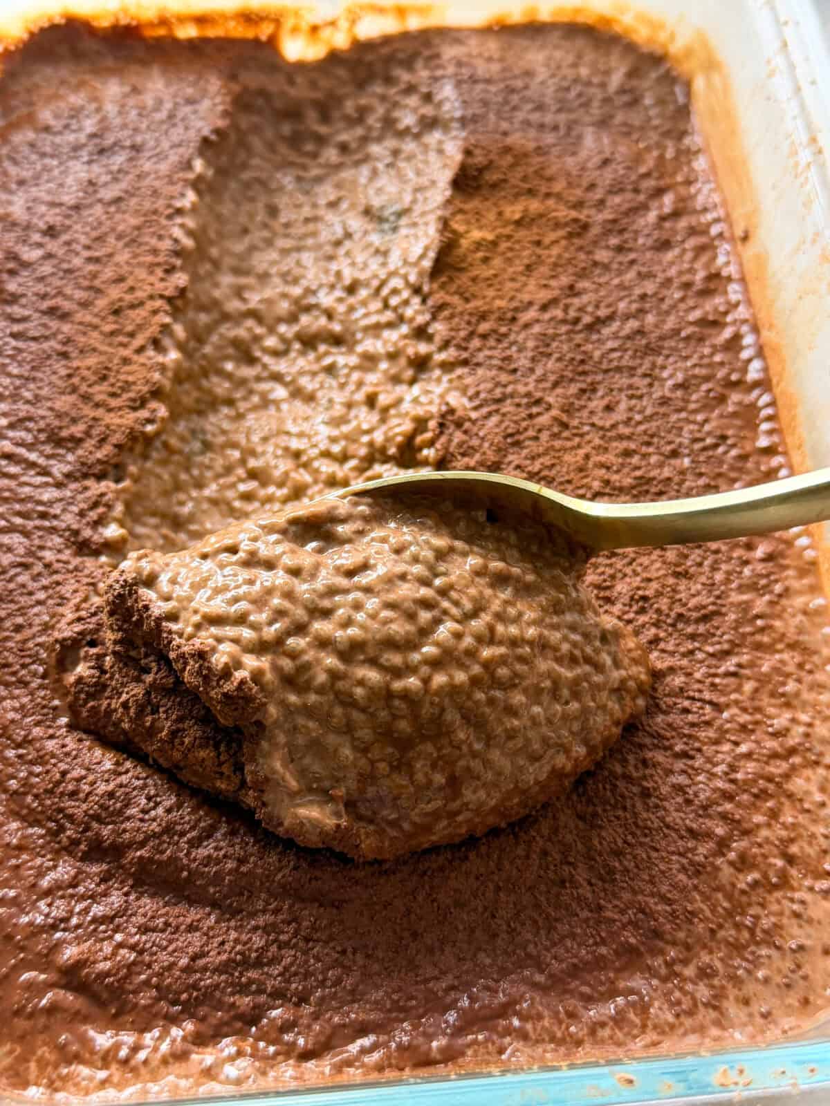 Spoonful of thick and creamy chocolate chia seed pudding with rich chocolate texture